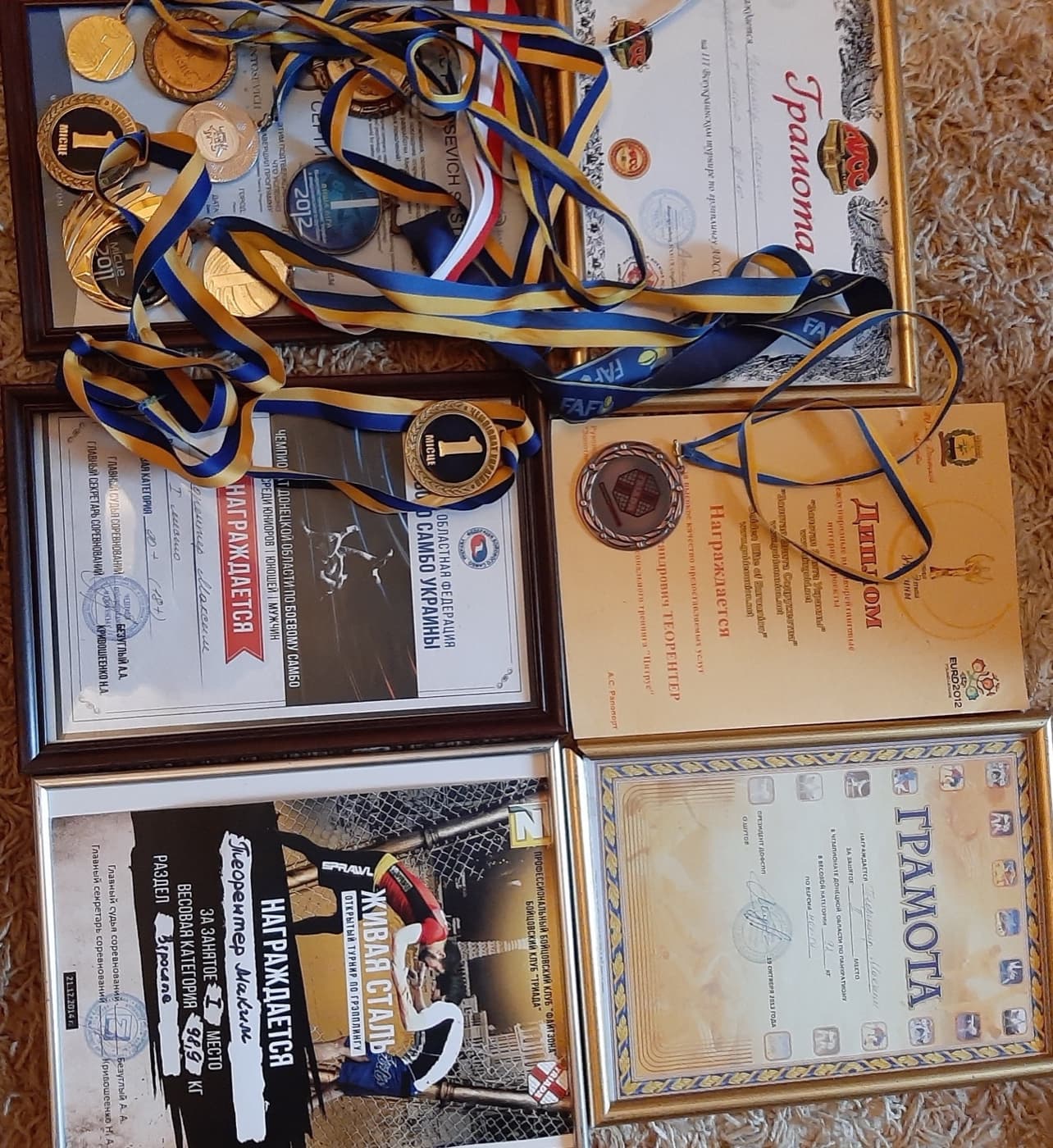 Спортивные награды — Грэпплинг ADCC, боевое самбо, панкратион — чемпионаты Донецкой области и Украины